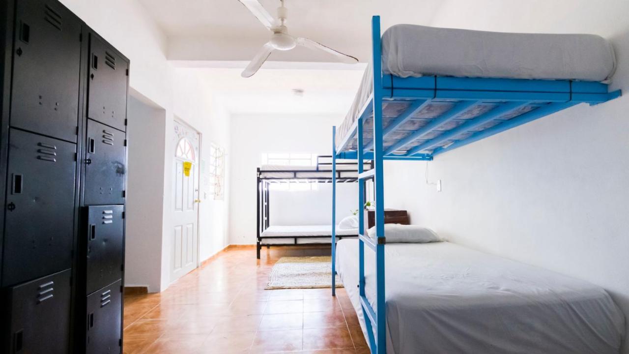 Weary Traveler Hostelトゥルム 部屋 写真