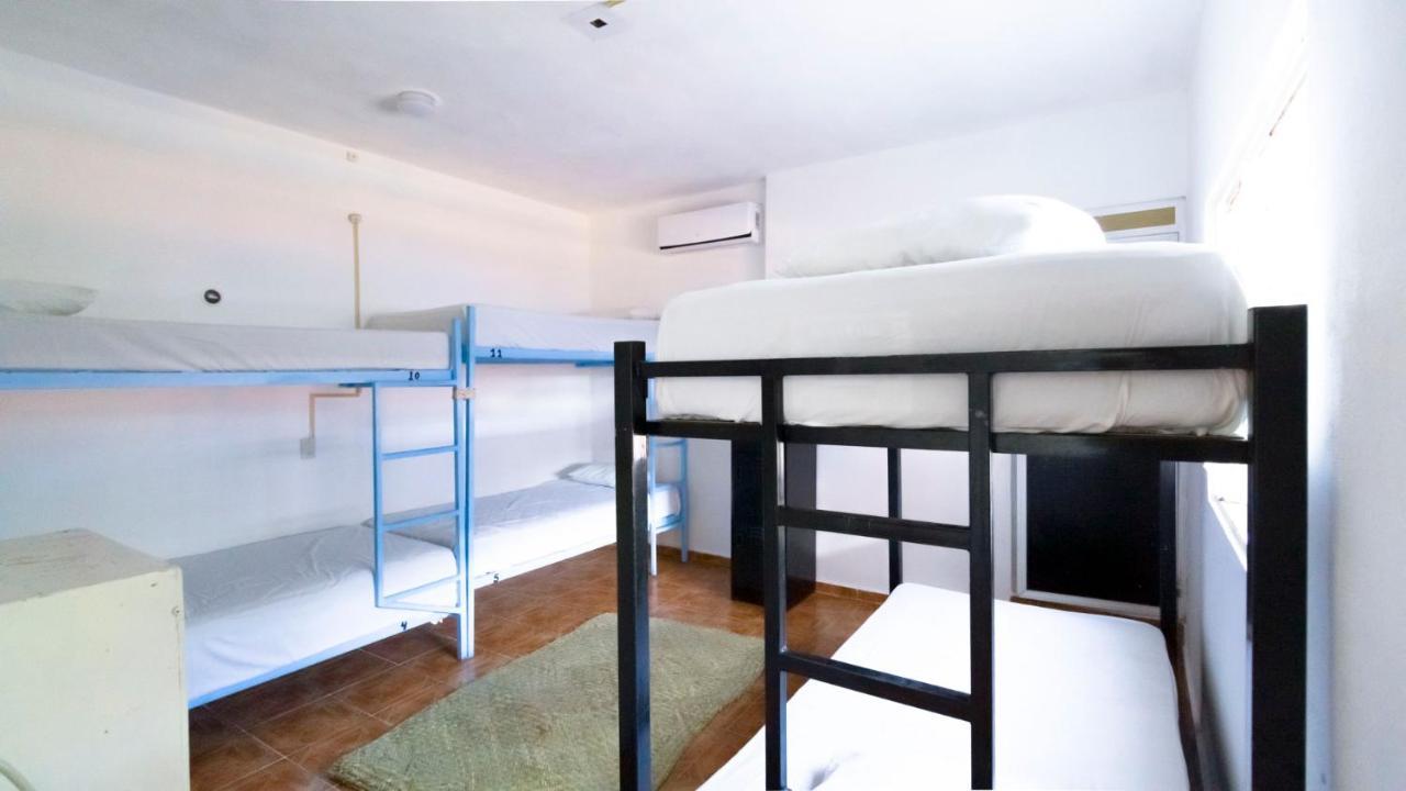 Weary Traveler Hostelトゥルム 部屋 写真