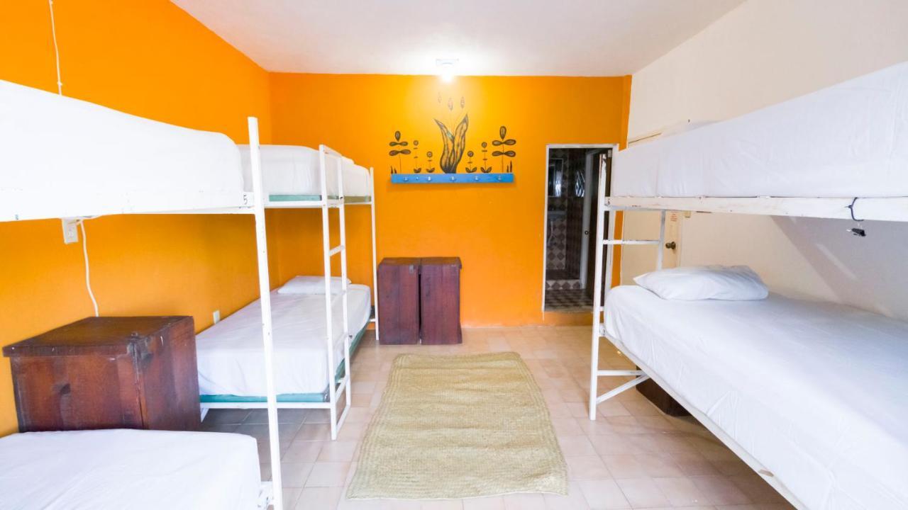 Weary Traveler Hostelトゥルム 部屋 写真